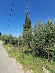 Οικόπεδο 4.026 τ.μ. για πώληση, Μεσσηνία, Αβία-thumb-3