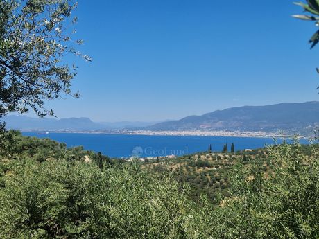 Οικόπεδο 4.026τ.μ. για πώληση-Αβία » Μεγάλη μαντίνεια