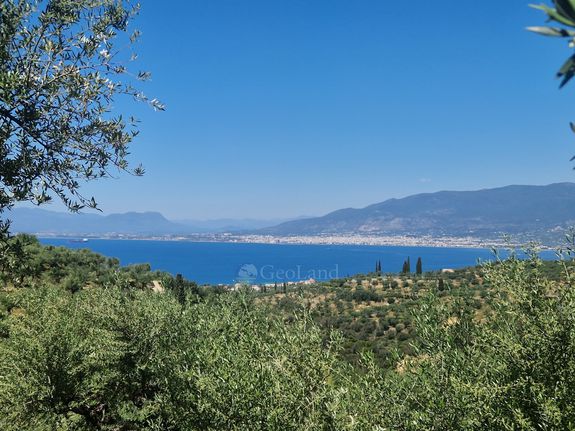 Οικόπεδο 4.026 τ.μ. για πώληση, Μεσσηνία, Αβία
