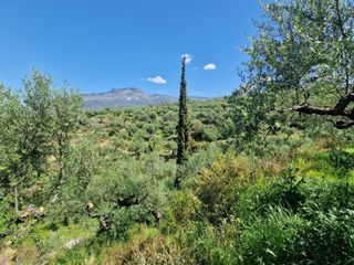 Οικόπεδο 4.026 τ.μ. για πώληση, Μεσσηνία, Αβία-thumb-6