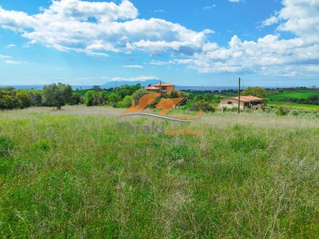 Parcel 7.000sqm for sale-Alexandroupoli » Mana Tou Nerou