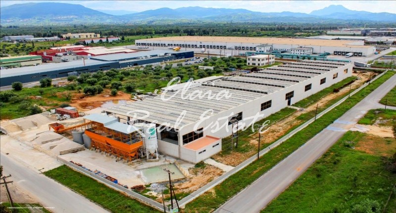 Βιομηχανικός χώρος 5.663 τ.μ. πρός πώληση, Αχαΐα, Ωλένια