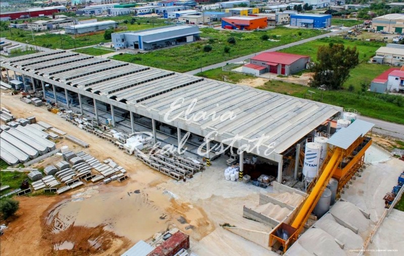 Βιομηχανικός χώρος 5.663 τ.μ. πρός πώληση, Αχαΐα, Ωλένια