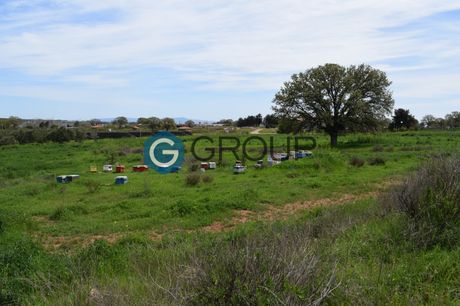 Parcel 2.900sqm for sale-Alexandroupoli » Palagia