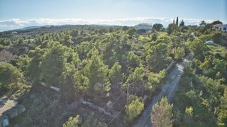 Αγροτεμάχια 1.466 τ.μ. για πώληση, Αργολίδα, Κρανίδι-thumb-9