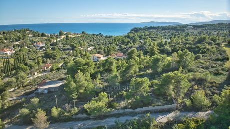 Αγροτεμάχια 1.466 τ.μ. για πώληση