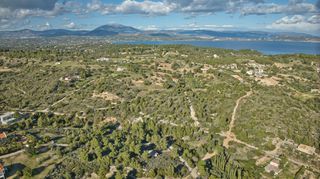 Αγροτεμάχια 1.466 τ.μ. για πώληση, Αργολίδα, Κρανίδι-thumb-16
