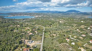 Αγροτεμάχια 8.000 τ.μ. για πώληση, Αργολίδα, Κρανίδι-thumb-18