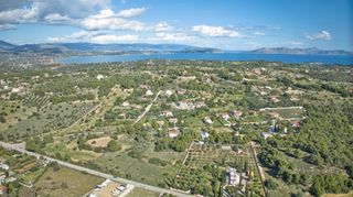 Αγροτεμάχια 8.000 τ.μ. για πώληση, Αργολίδα, Κρανίδι-thumb-6