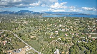 Αγροτεμάχια 8.000 τ.μ. για πώληση, Αργολίδα, Κρανίδι-thumb-20
