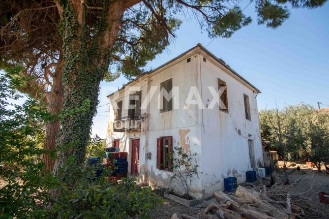 Μονοκατοικία 190 τ.μ. για πώληση, Μαγνησία, Αρτέμιδα