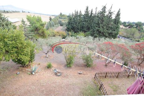 Μεζονέτα 494 τ.μ. για πώληση