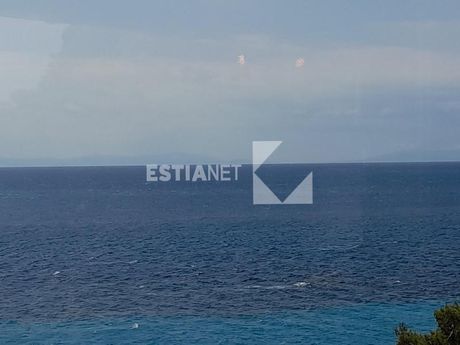 Αγροτεμάχια 4.600τ.μ. για πώληση-Κασσάνδρα » Κέντρο