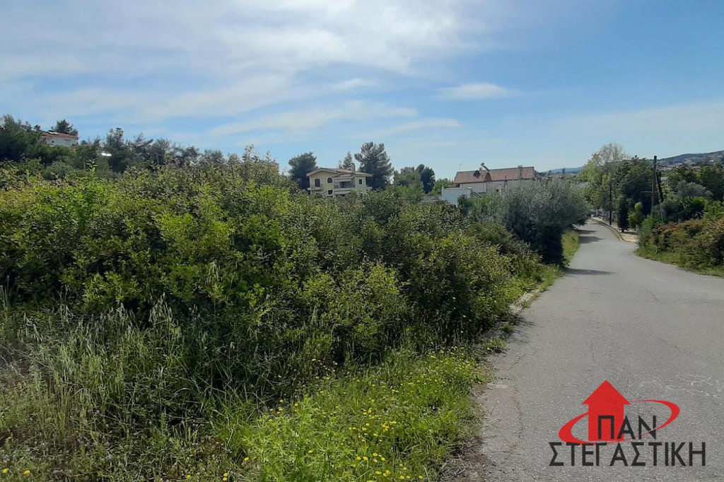 Οικόπεδο 1.140 τ.μ. πρός πώληση, Βοιωτία, Σχηματάρι