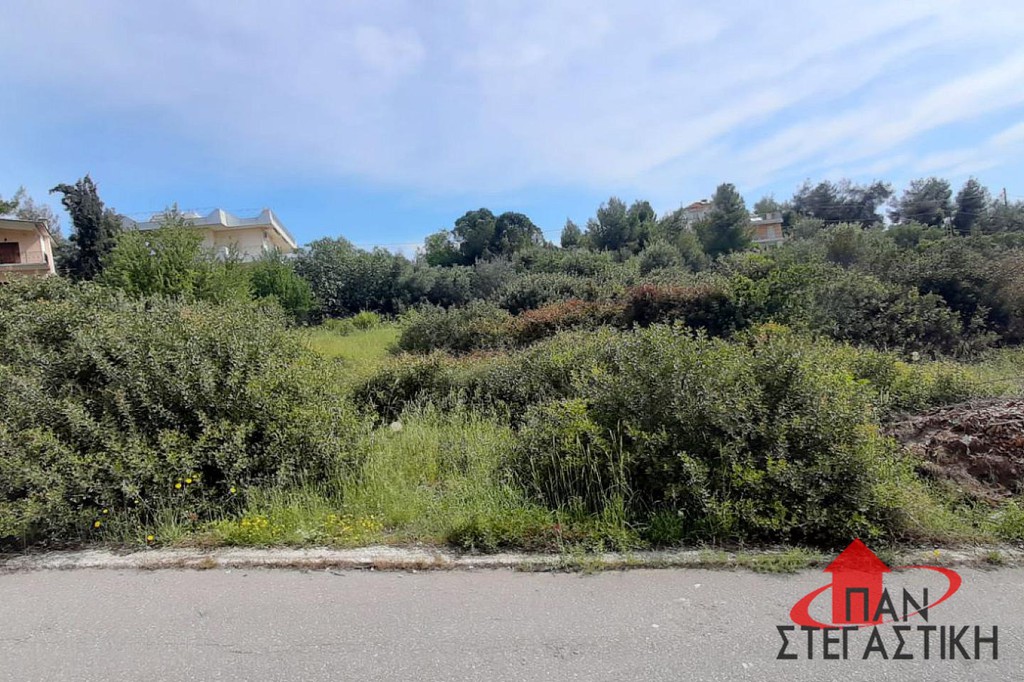 Οικόπεδο 1.140 τ.μ. πρός πώληση, Βοιωτία, Σχηματάρι
