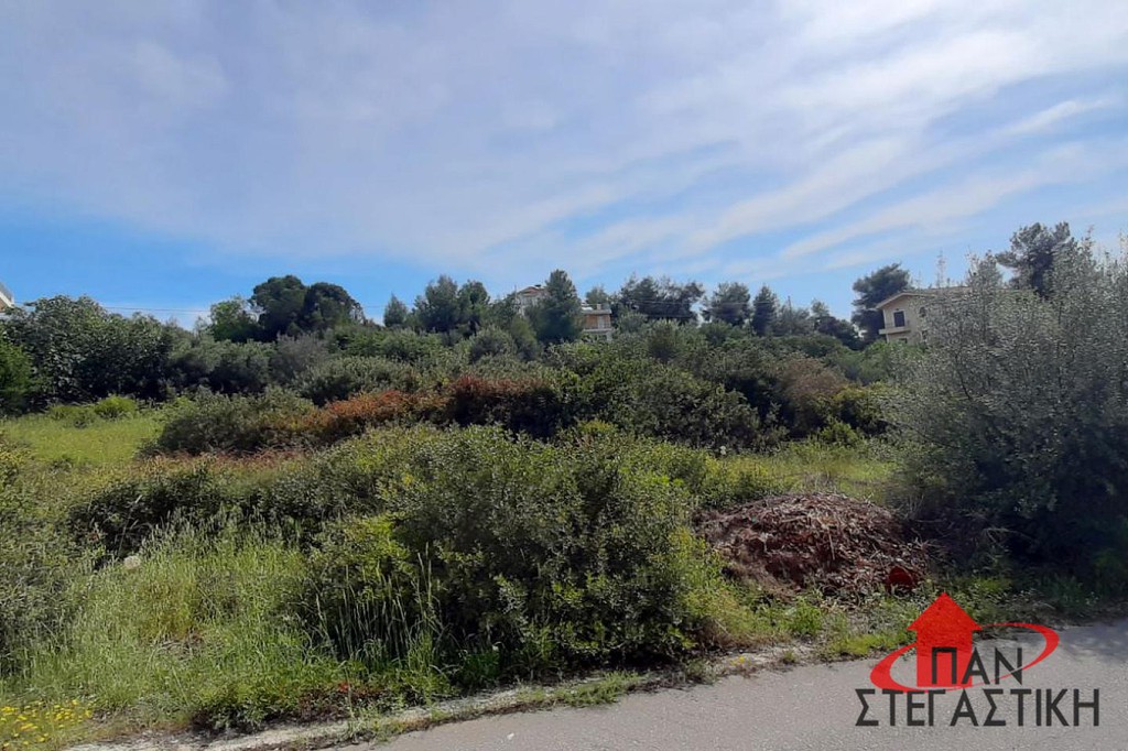 Οικόπεδο 1.140 τ.μ. πρός πώληση, Βοιωτία, Σχηματάρι