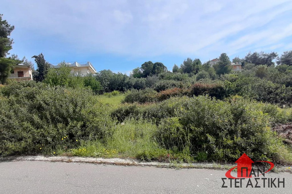 Οικόπεδο 1.140 τ.μ. πρός πώληση, Βοιωτία, Σχηματάρι