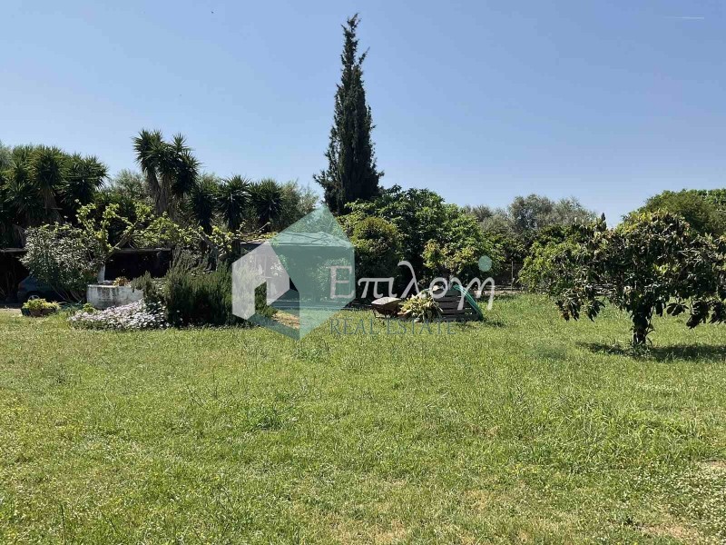 Οικόπεδο 3.500 τ.μ. προς πώληση, Κάτω Αχαΐα