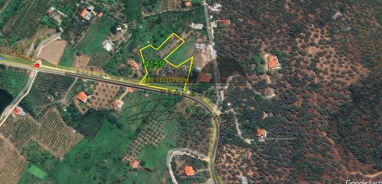 Αγροτεμάχια 4.159 τ.μ. για πώληση, Μαγνησία, Μηλιές