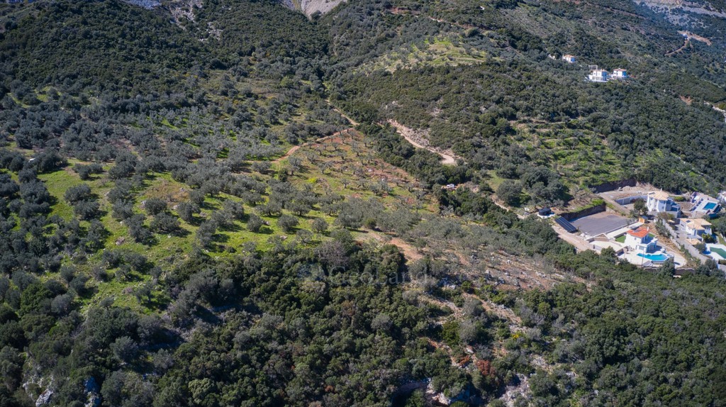 Αγροτεμάχια 27.379 τ.μ. προς πώληση, Αρχαία Επίδαυρος