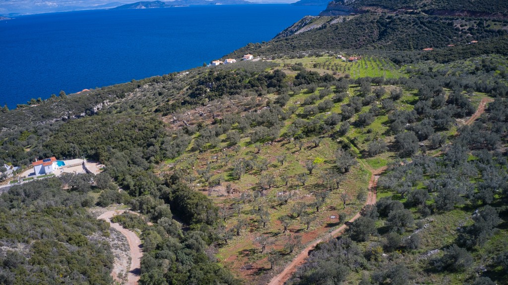 Αγροτεμάχια 27.379 τ.μ. προς πώληση, Αρχαία Επίδαυρος