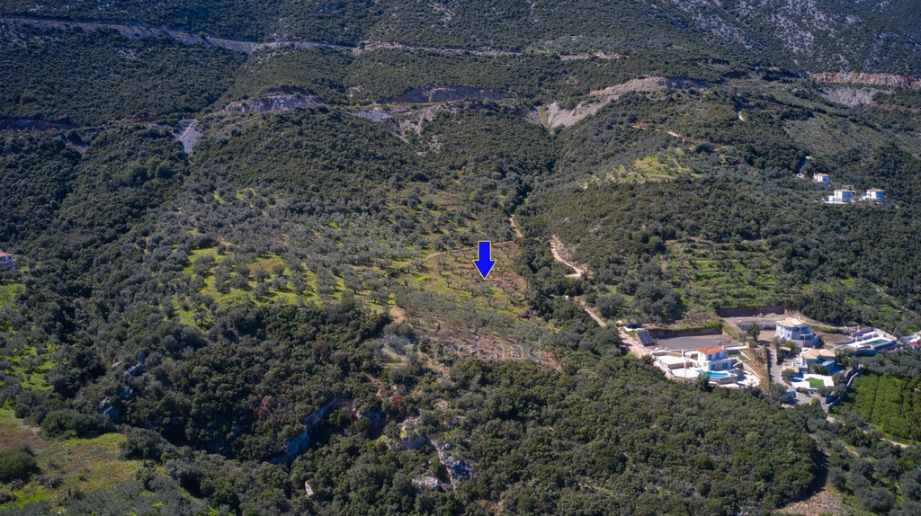 Αγροτεμάχια 27.379 τ.μ. προς πώληση, Αρχαία Επίδαυρος