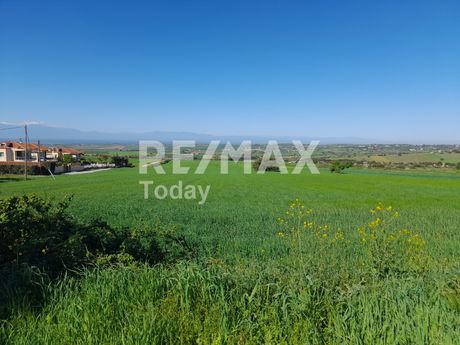 Αγροτεμάχια 11.465 τ.μ. για πώληση