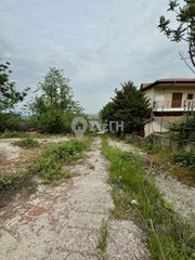 Αγροτεμάχια 1.800 τ.μ. για πώληση, Ημαθία, Βέροια-thumb-12