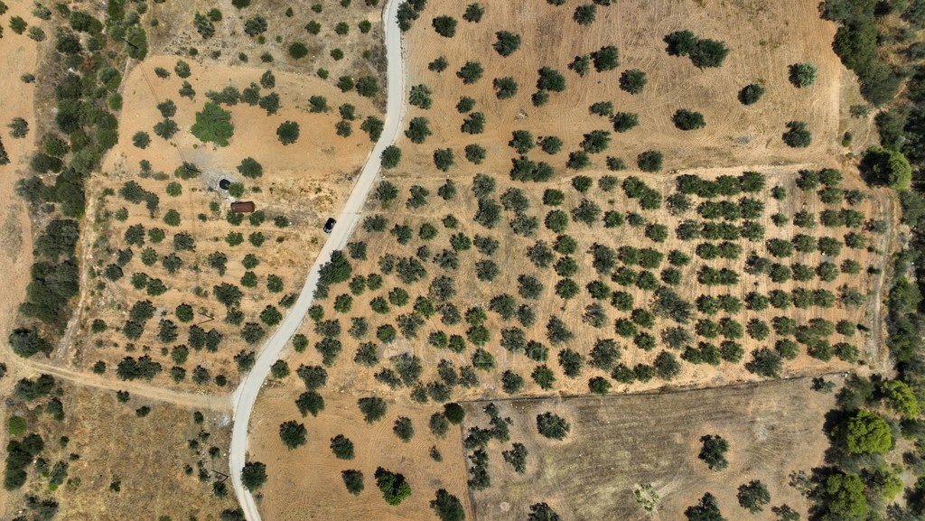 Αγροτεμάχια 9.800 τ.μ. προς πώληση, Κέντρο Ερμιόνης