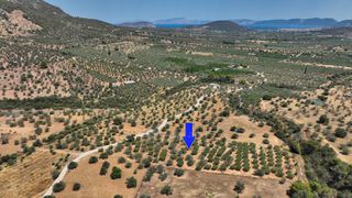 Αγροτεμάχια 9.800 τ.μ. προς πώληση, Κέντρο Ερμιόνης-thumb-3