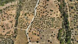 Αγροτεμάχια 9.800 τ.μ. προς πώληση, Κέντρο Ερμιόνης-thumb-21