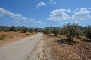 Αγροτεμάχια 9.800 τ.μ. προς πώληση, Κέντρο Ερμιόνης-thumb-22