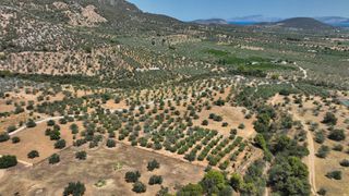 Αγροτεμάχια 9.800 τ.μ. προς πώληση, Κέντρο Ερμιόνης-thumb-12