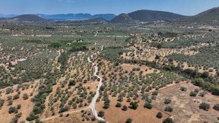 Αγροτεμάχια 9.800 τ.μ. προς πώληση, Κέντρο Ερμιόνης-thumb-13