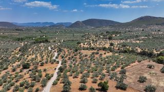 Αγροτεμάχια 9.800 τ.μ. προς πώληση, Κέντρο Ερμιόνης-thumb-6