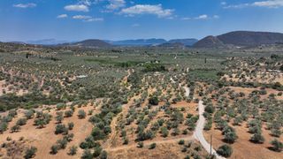 Αγροτεμάχια 9.800 τ.μ. προς πώληση, Κέντρο Ερμιόνης-thumb-16
