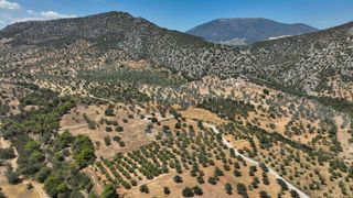 Αγροτεμάχια 9.800 τ.μ. προς πώληση, Κέντρο Ερμιόνης-thumb-9