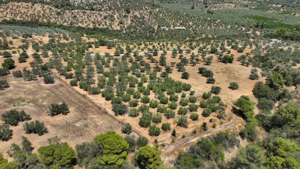 Αγροτεμάχια 9.800 τ.μ. προς πώληση, Κέντρο Ερμιόνης