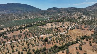 Αγροτεμάχια 9.800 τ.μ. προς πώληση, Κέντρο Ερμιόνης-thumb-17