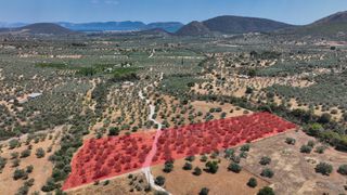 Αγροτεμάχια 9.800 τ.μ. προς πώληση, Κέντρο Ερμιόνης-thumb-1