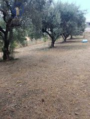 Οικόπεδο 540 τ.μ. προς πώληση, Μιντιλόγλι-thumb-2