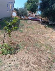 Οικόπεδο 540 τ.μ. προς πώληση, Μιντιλόγλι-thumb-3