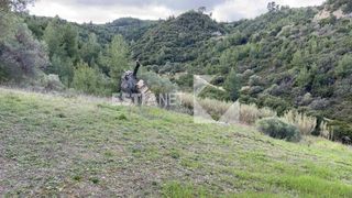 Οικόπεδο 1.200 τ.μ. για πώληση, Χαλκιδική, Παλλήνη-thumb-4