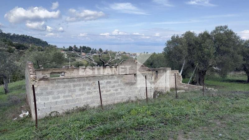 Οικόπεδο 1.200 τ.μ. πρός πώληση, Χαλκιδική, Παλλήνη