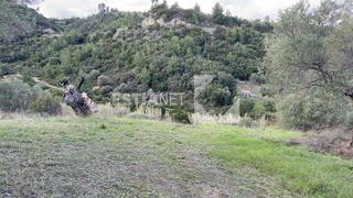 Οικόπεδο 1.200 τ.μ. για πώληση, Χαλκιδική, Παλλήνη-thumb-3