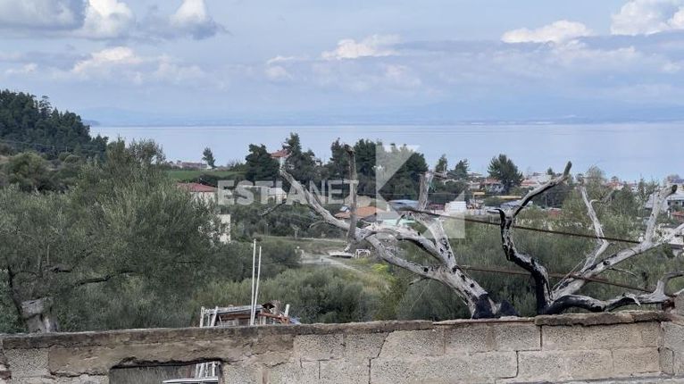 Οικόπεδο 1.200 τ.μ. για πώληση, Χαλκιδική, Παλλήνη