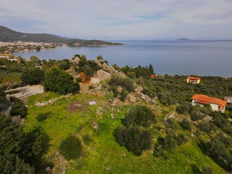 Αγροτεμάχια 4.200τ.μ. για πώληση-Επίδαυρος » Αρχαία επίδαυρος