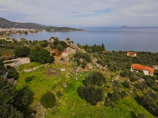 Αγροτεμάχια 4.200 τ.μ. για πώληση