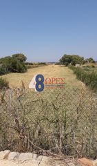 Αγροτεμάχια 2.027 τ.μ. για ενοικίαση, Ν. Χίου, Χίος-thumb-1