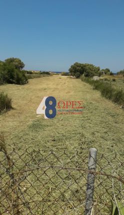 Αγροτεμάχια 2.027 τ.μ. για ενοικίαση, Ν. Χίου, Χίος